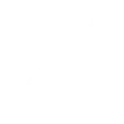Slimed