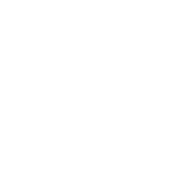 Спрут