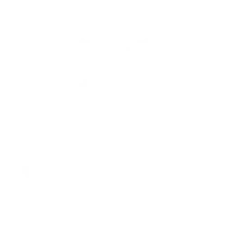 Stuntman
