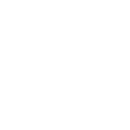 Тигр
