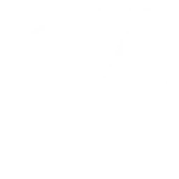 Царапины