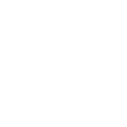Уэльс (Adidas)