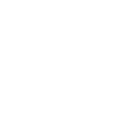 Звезда 96