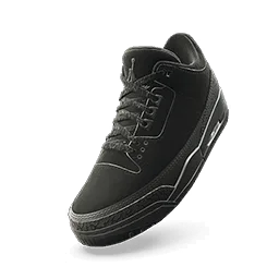 Air Jordan 3 'Black Cat'