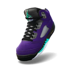 Air Jordan 5 Retro 'Reverse Grape'