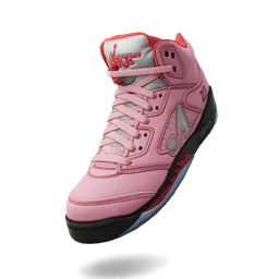 Awake NY x Air Jordan 5 'Boro Arctic Pink'