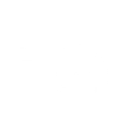 Bodies