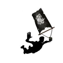 Чёрный флаг