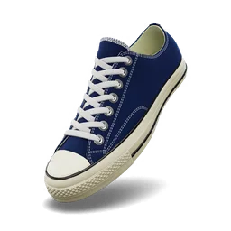 Converse Chuck 70 Low 'Cold Stare'
