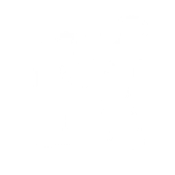 Disco (Surf Curse)