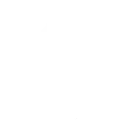 Достижения