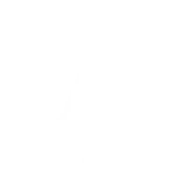 Dunk on 'Em