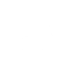 Fast Slow Disco