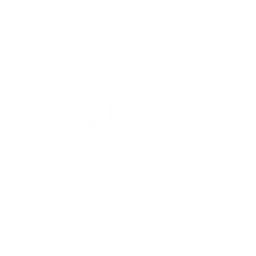 Главный приз