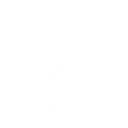 Хлыст