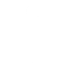 Истинный фанат
