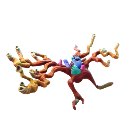 Коралл