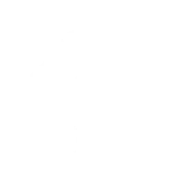 Моноцикл