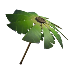 Пальма