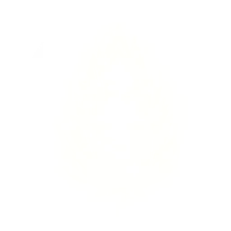 Подготовка к бою Веджиты