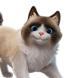 Рэгдолли