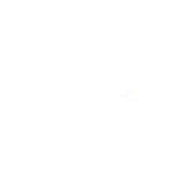 Ритмичная поездка