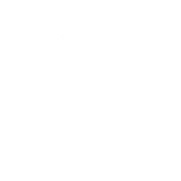 Шахматный поединок