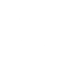 Шик и блеск