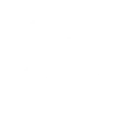 Шокирующее приветствие