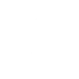 Shoryuken!