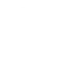 Shout!