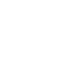 Снежная буря