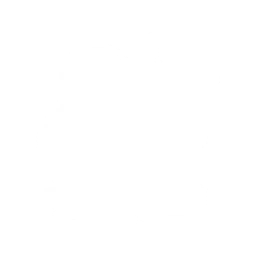 Снежный друг