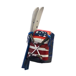 Сумка мастера фристайла (США)