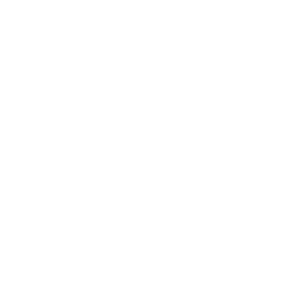 Звёздная лихорадка