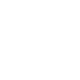 Звёздочка