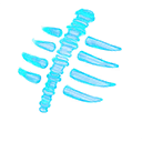 ОБЫЧНЫЙ