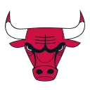 CHICAGO BULLS
