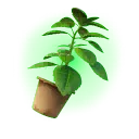 Зелёная трава