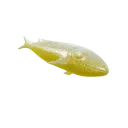 Лимонный анчоус