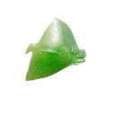 Яблочная скалярия