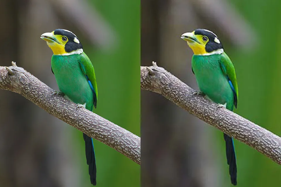 Одна фотография в разном качестве JPEG