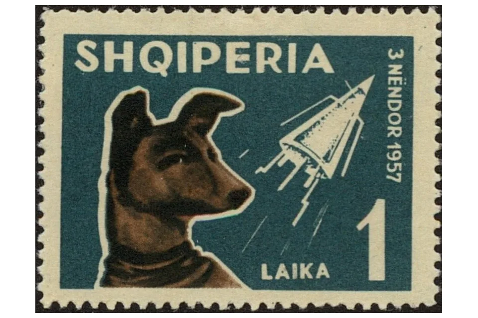 Почтовая марка Албании 1962 года с собакой Лайкой