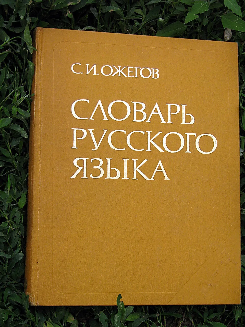 Раскрытый словарь русского языка