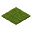 Зелёный ковёр