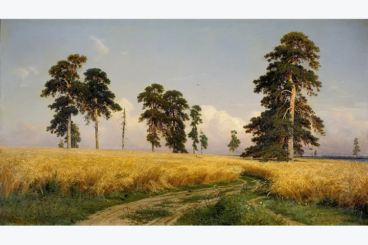 Рожь