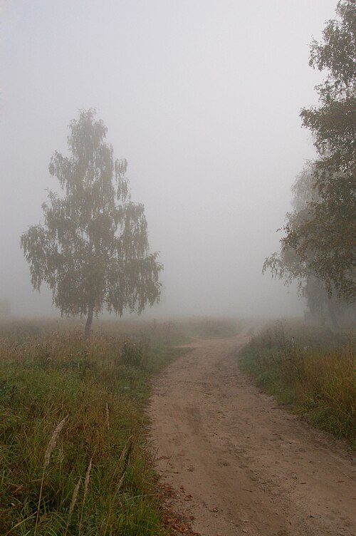 Туман