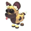 African Wild Dog