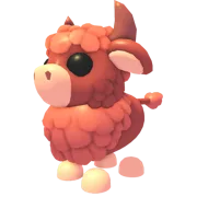Angus Bull