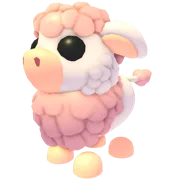 Angus Cow